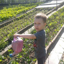Неделя доброты